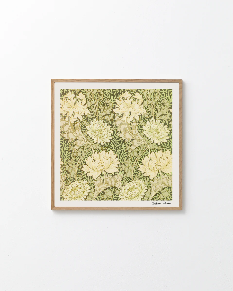 A Chrysanthemum Pattern by William Morris poster, adorned with vintage-style floral patterns, displays cream chrysanthemum flowers and green leaves on a white wall.
