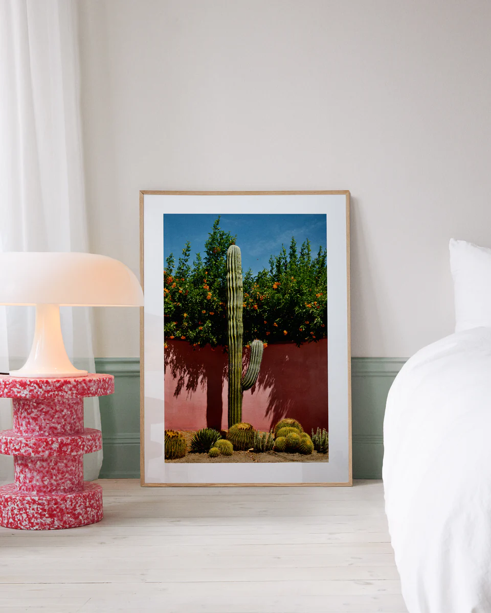 Palm Springs Cacti Garden Poster