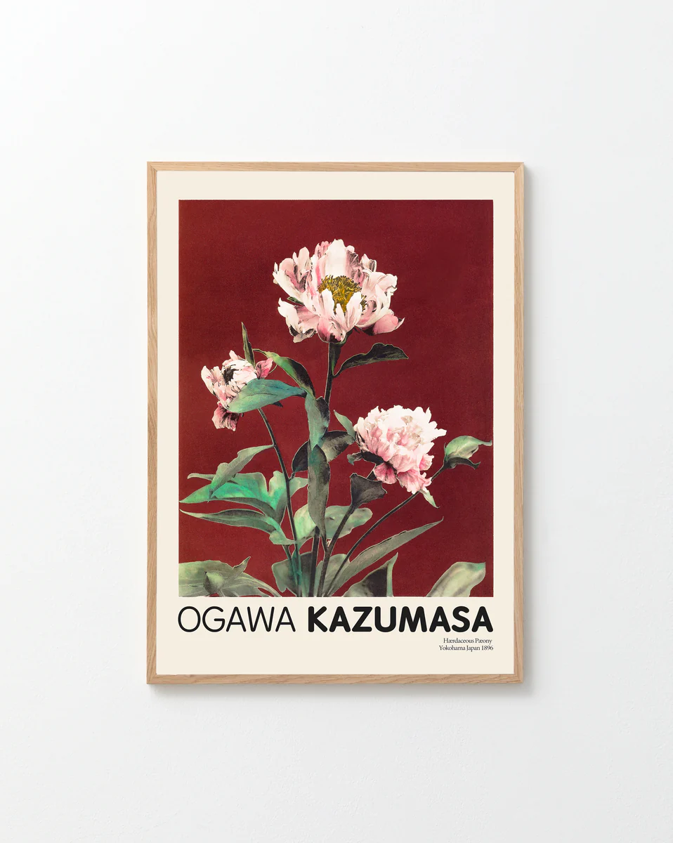 The Herbaceous Peony No2 by Ogawa Kazumasa Poster features a stunning illustration of blooming pink flowers and lush green leaves set against a deep red background, embodying Japanese elegance.