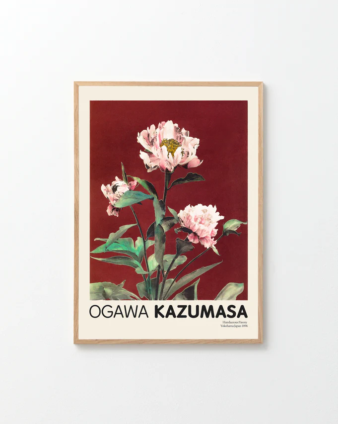 The Herbaceous Peony No2 by Ogawa Kazumasa Poster features a stunning illustration of blooming pink flowers and lush green leaves set against a deep red background, embodying Japanese elegance.