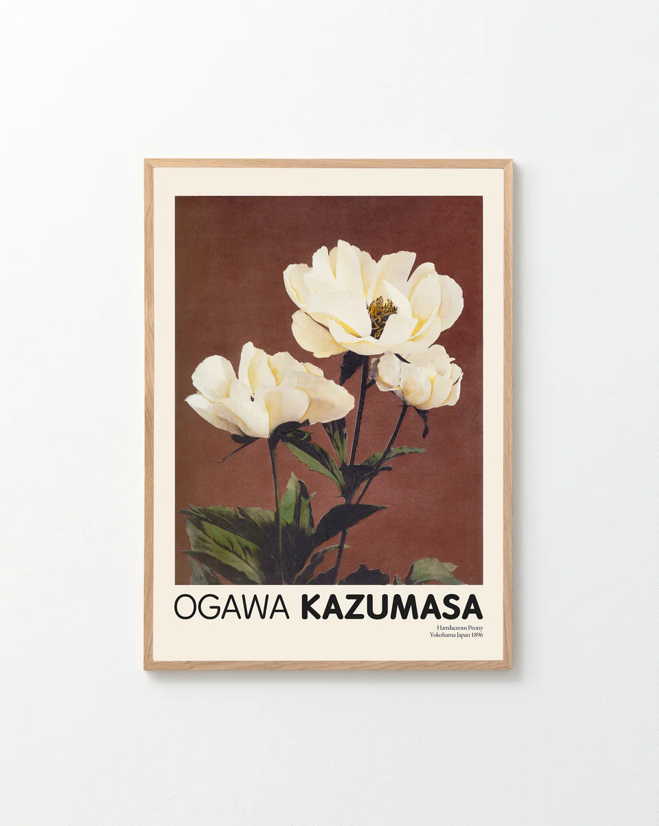 This framed poster showcases Ogawa Kazumasas Japanese elegance with pale yellow peonies against a dark brown backdrop.