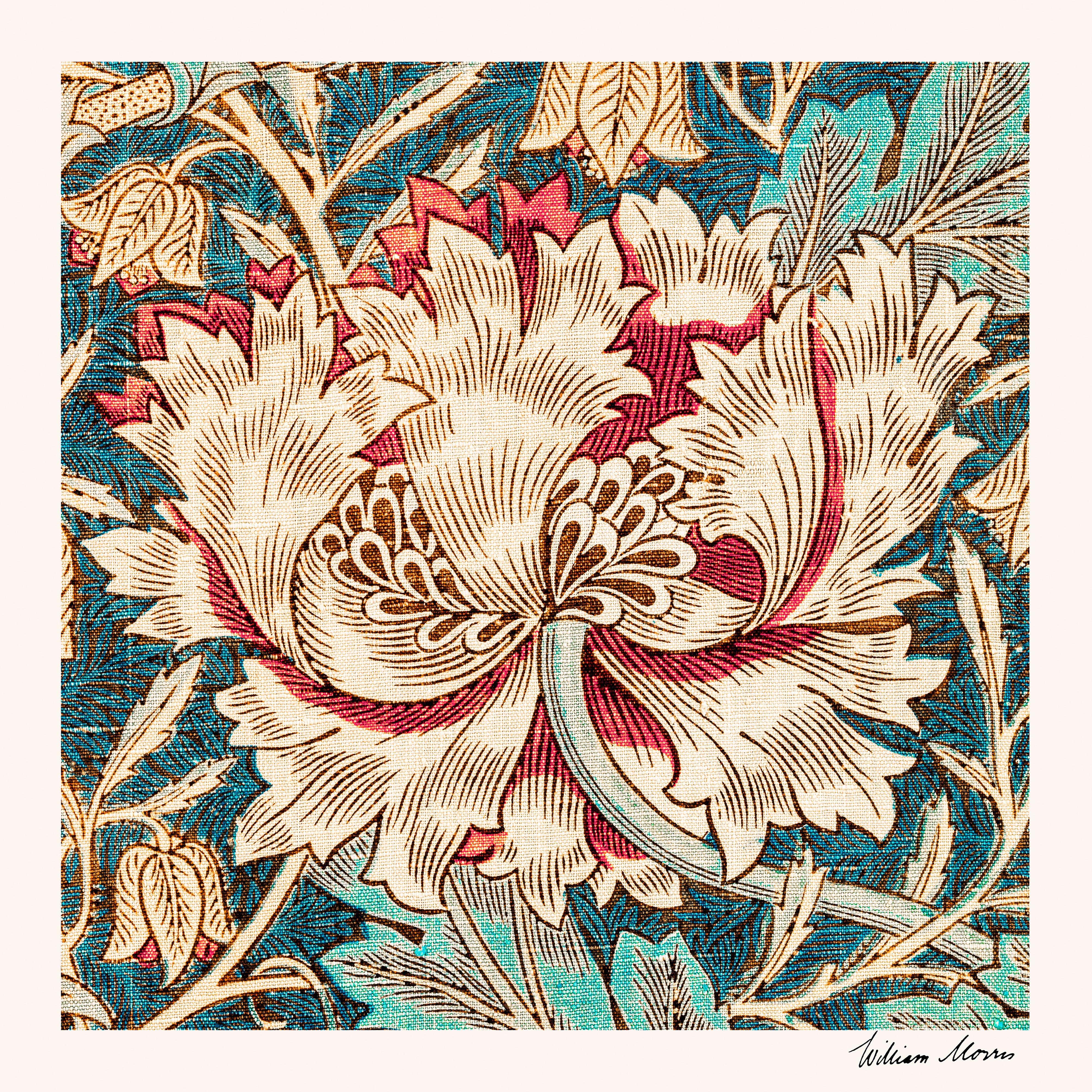 Honeysuckle-Pattern-Poster-