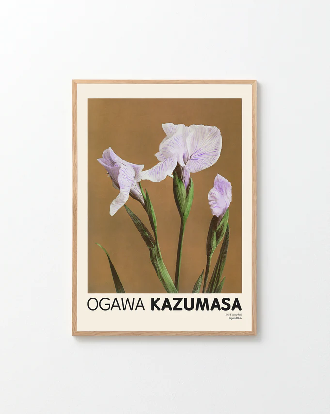 A framed poster titled Iris Kæmpferi by Ogawa Kazumasa features botanical art of light purple irises on a brown background, embodying Japanese aesthetics, with OGAWA KAZUMASA in bold black letters at the bottom.