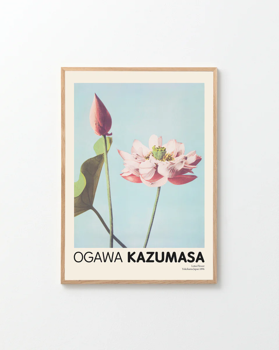 The Lotus Flowers by Ogawa Kazumasa Poster showcases a pink lotus flower and bud against a pale blue background, ideal for home decor. OGAWA KAZUMASA is elegantly printed at the bottom. It hangs in a simple wood frame on a white wall.