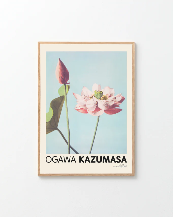 The Lotus Flowers by Ogawa Kazumasa Poster showcases a pink lotus flower and bud against a pale blue background, ideal for home decor. OGAWA KAZUMASA is elegantly printed at the bottom. It hangs in a simple wood frame on a white wall.