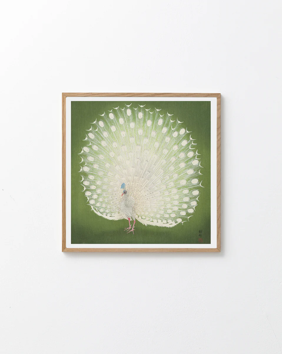 Framed artwork of a peacock with a green background