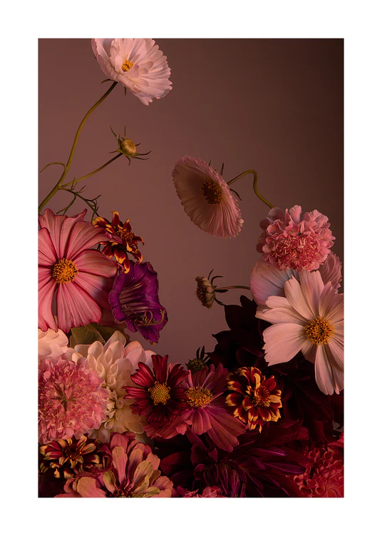 The Dreamscape Poster features a lush arrangement of pink, red, and white flowers like cosmos and zinnias against a soft brown background. Warm lighting emphasizes the delicate petals and intricate textures of this enchanting floral display.