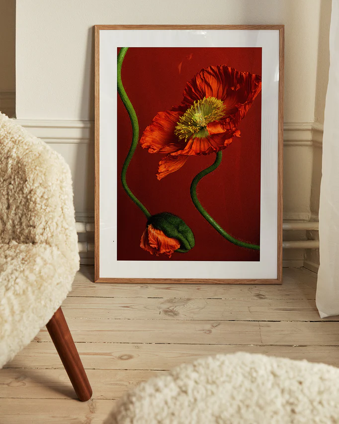 The Poppy on Red Poster, a framed artwork of elegant red poppies against a rich red backdrop, leans against a cream wall. In the foreground, part of a textured beige chair is visible on a light wood floor.