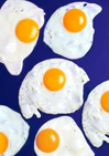 A still life photograph of eggs on a vibrant blue background.