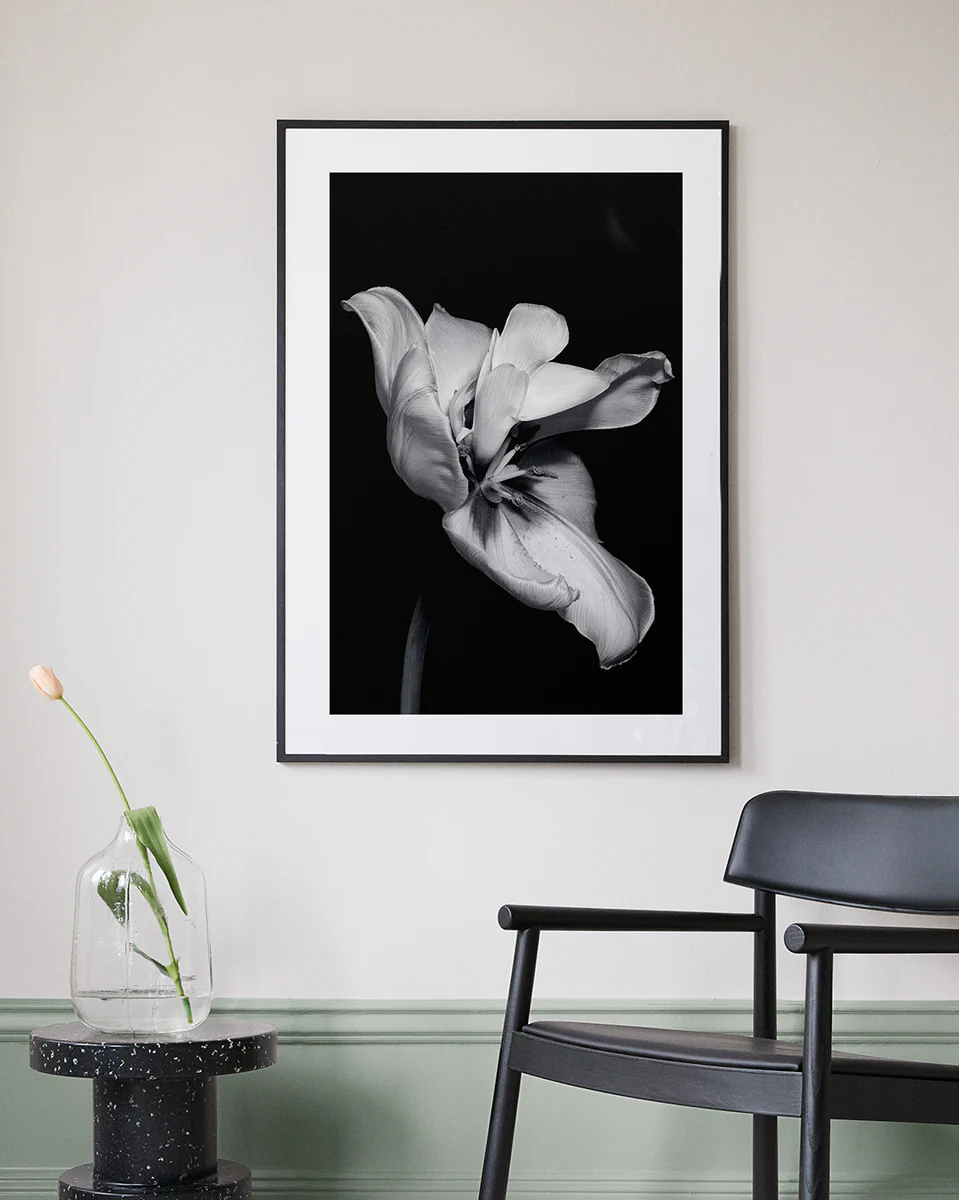Tulip Bw Poster