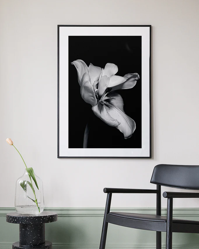 Tulip Bw Poster