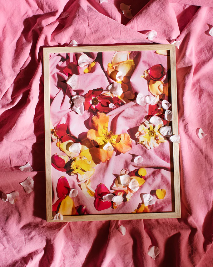 Fallen Garden Roses Poster