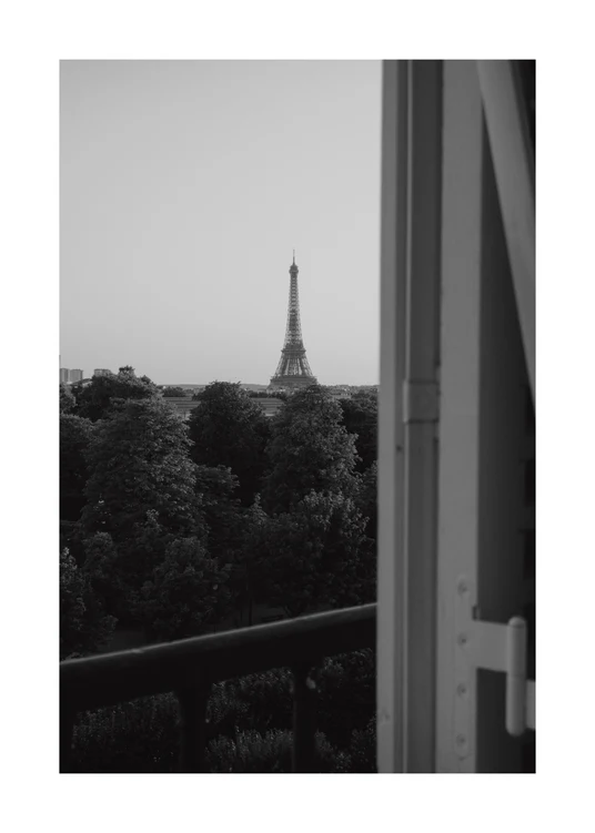 50 x 70 cm / White border