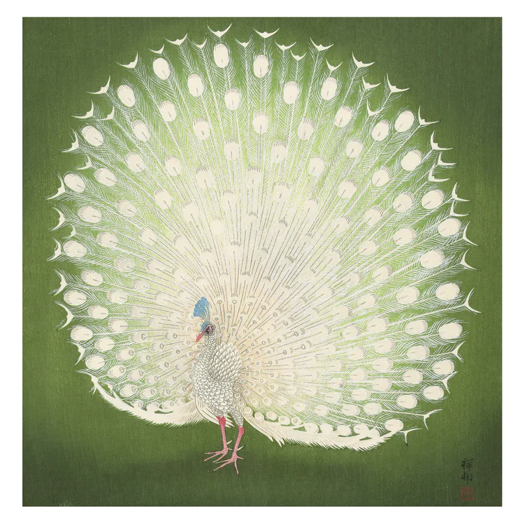 Artistic depiction of a peacock on a green background.