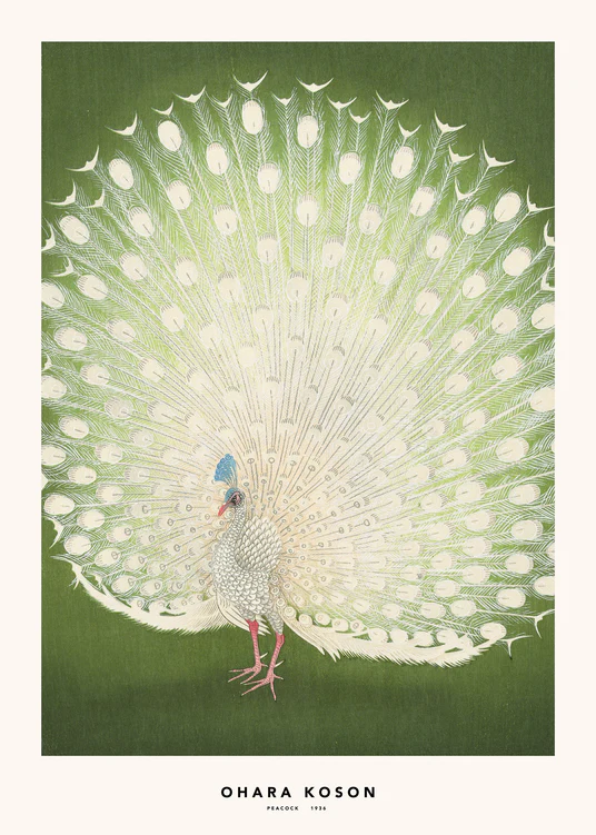 Illustration of a peacock on a green background.
