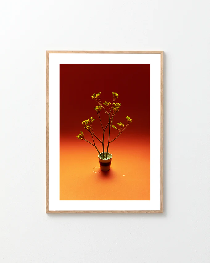 A Touch of Warmth Poster