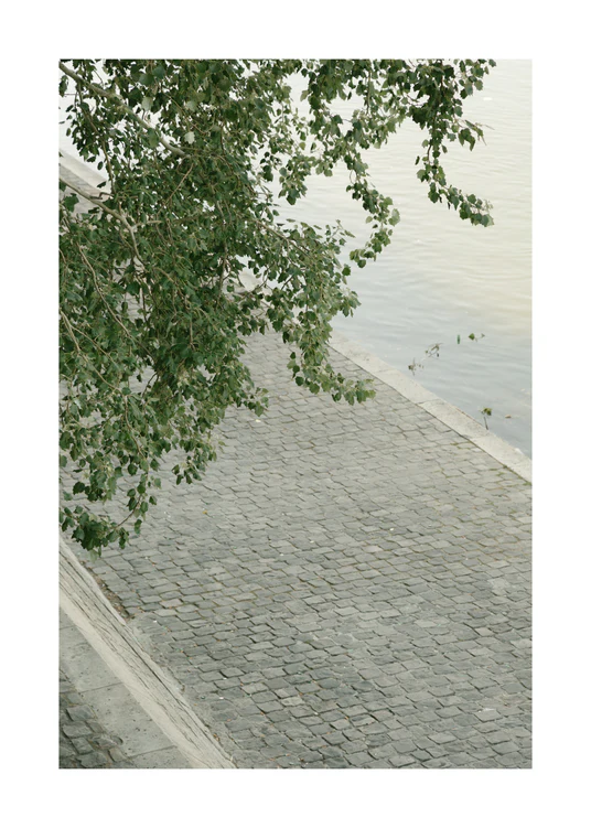 50 x 70 cm / White border