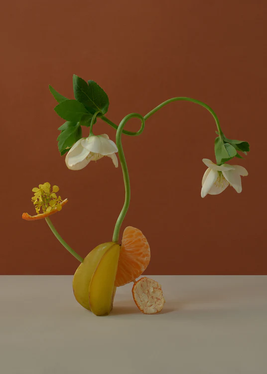 A stillife featuring a beautiful composition with flowers together with clementine