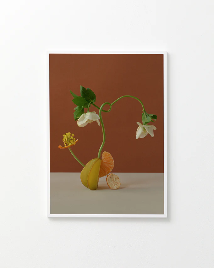 Poster featuring a stillife featuring a beautiful composition with flowers together with clementine in white frame