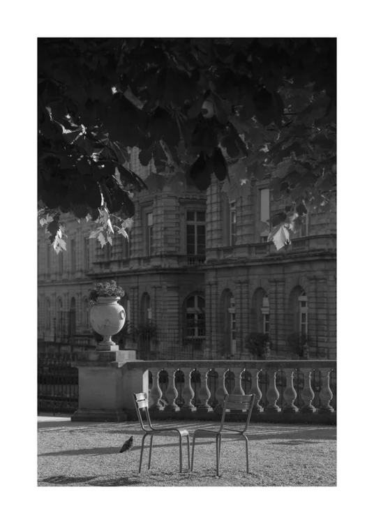 50 x 70 cm / White border