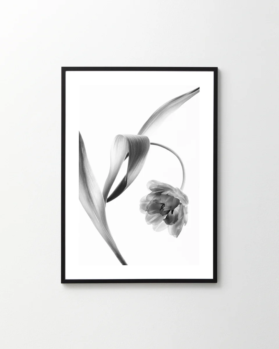 Feels Like Grace Kelly Poster