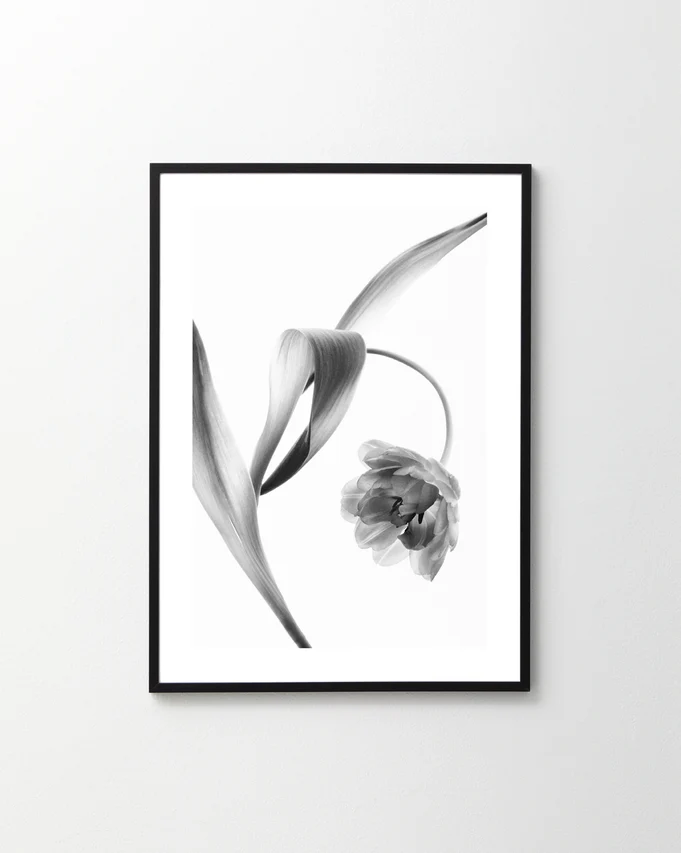 Feels Like Grace Kelly Poster