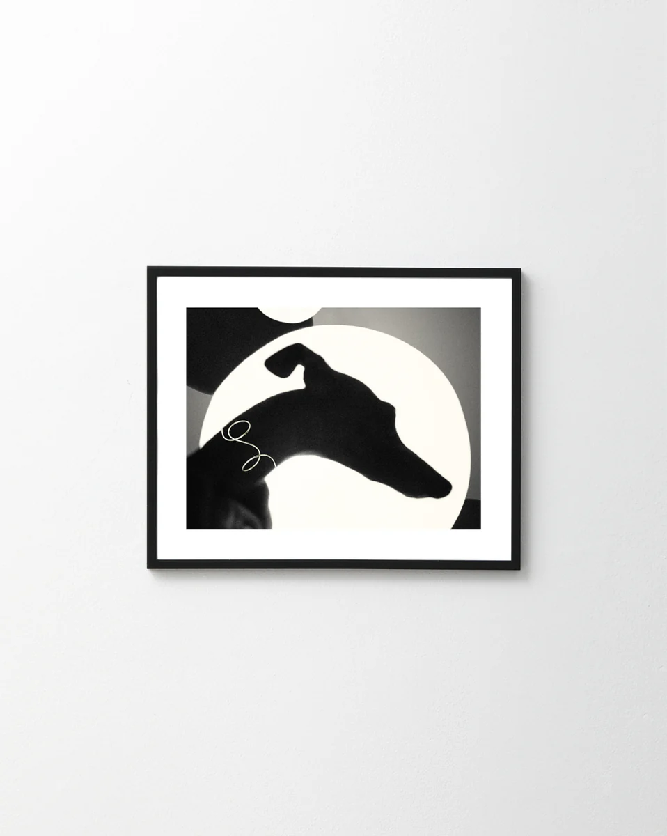 To Howl or Not to Howl Poster