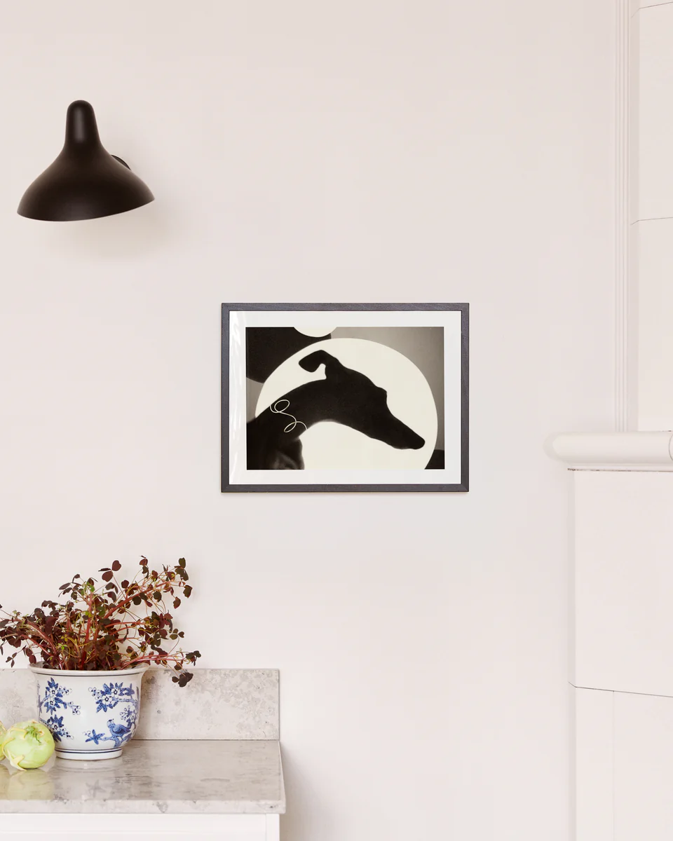 To Howl or Not to Howl Poster