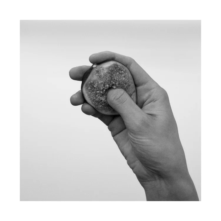 Eine Hand hält eine halbe Feige und drückt ihr Fruchtfleisch.