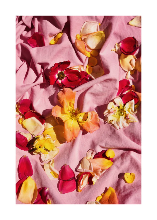 50 x 70 cm / White border