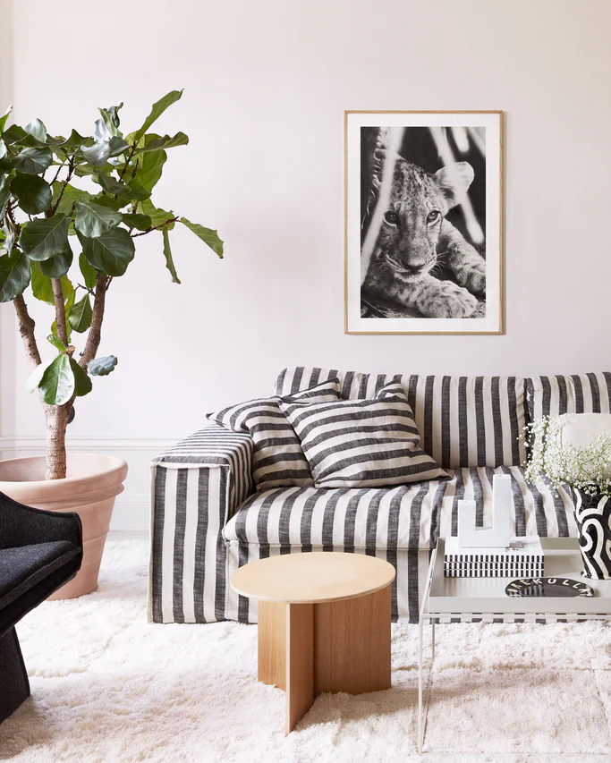 A living room featuring a striped sofa with matching cushions, a Busy Growin Up Poster of a black-and-white lion cub, and a potted plant by the sofa, complemented by a wooden round table and a glass table on a fluffy rug, embodies the essence of growing up.