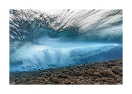 Wave crashing above a coral reef where fish and sharks are swimming.