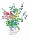 Flowers From My Garden