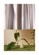 Still life of a plant, a shiny curtain, a green surface, and a ripe pear.
