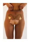 A woman in transparent stockings with a flower symbolizing her uterus.