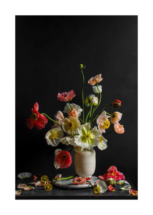 50 x 70 cm / White border