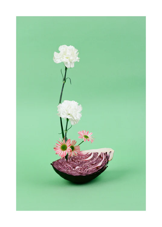 50 x 70 cm / White border