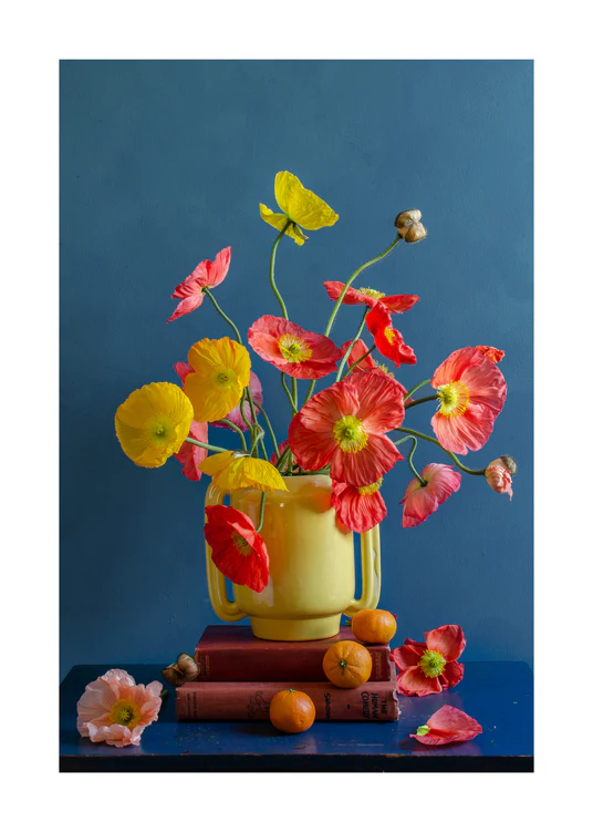 50 x 70 cm / White border