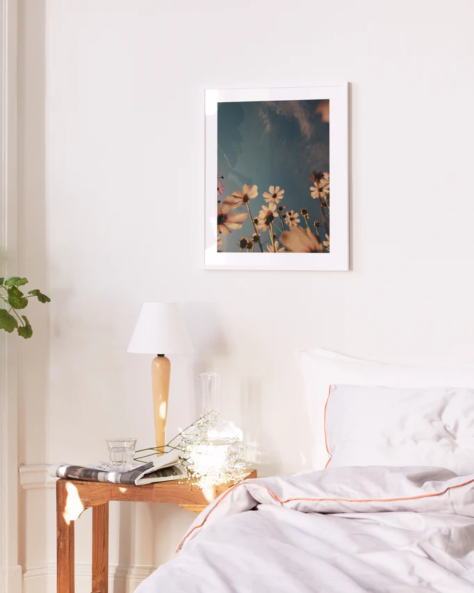 Cosmos Flowers Under August Sun Poster