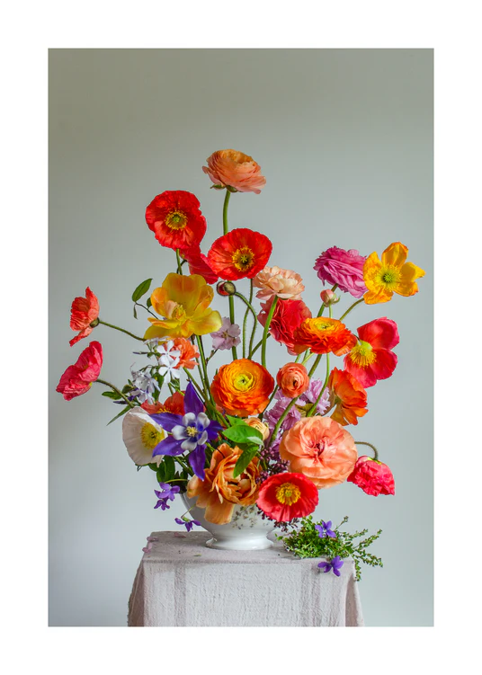 50 x 70 cm / White border