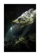 Man diving in a cenote illuminated by the sunlight from the Mexican sun.