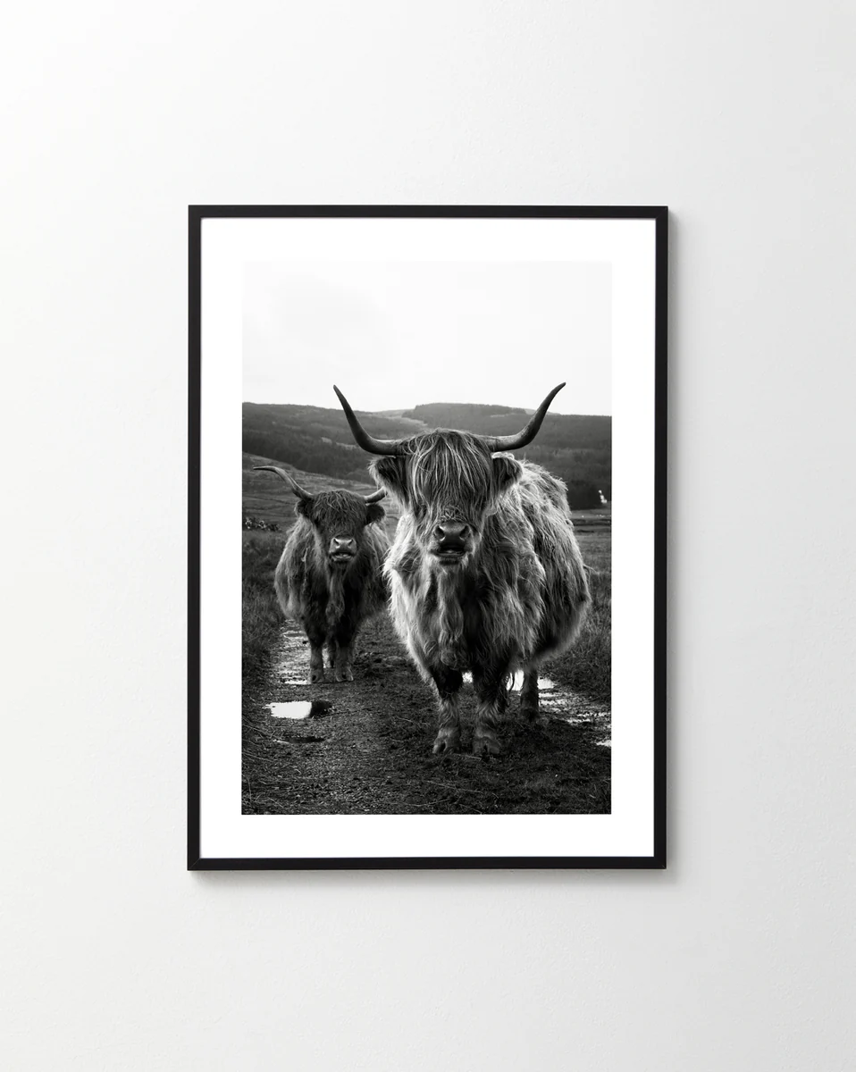 You Can Sit With Us Poster