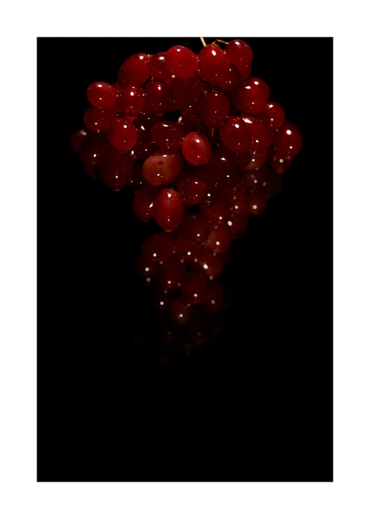 A bunch of shiny and delicious looking grapes on a black background.