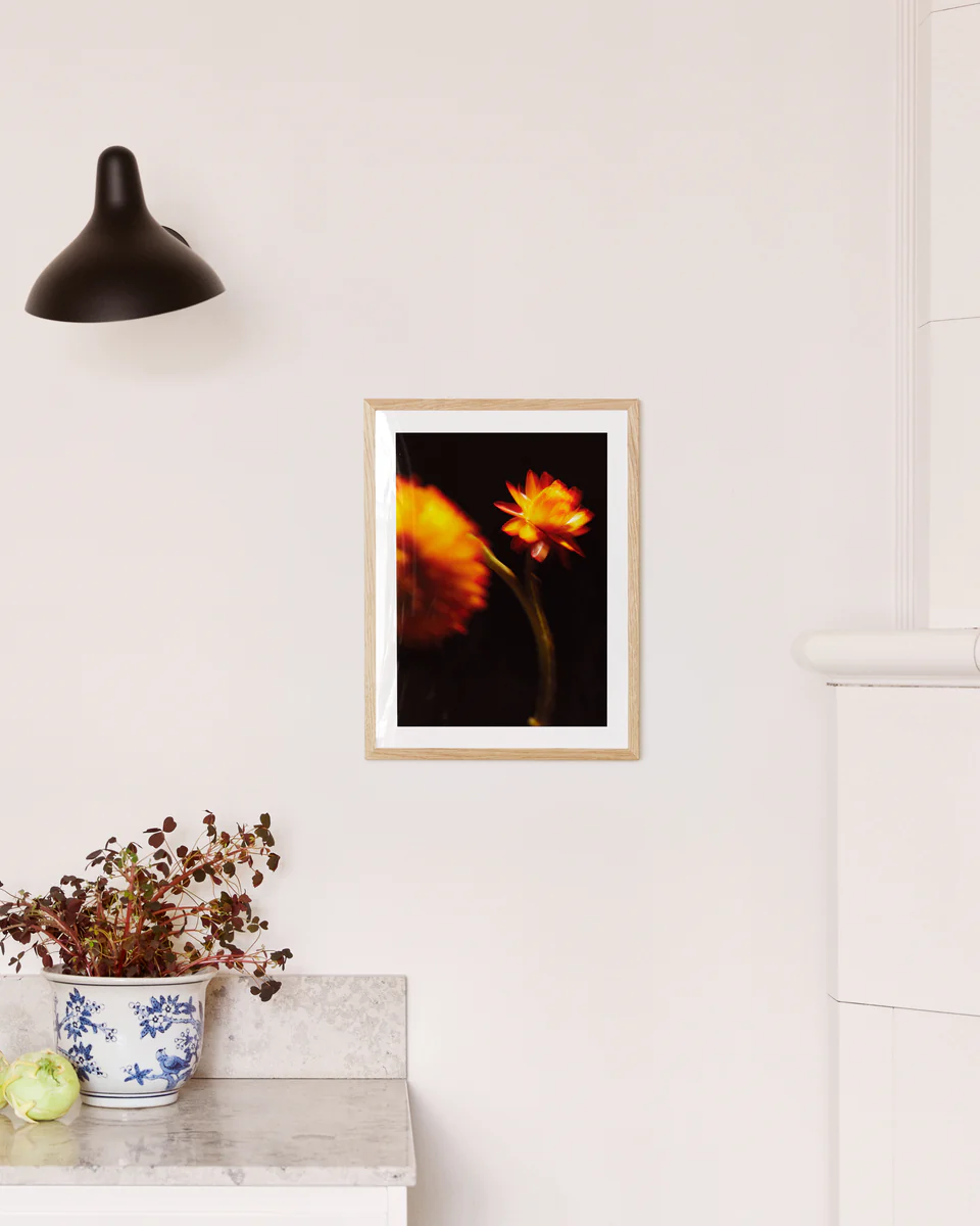 The On Edge Poster, featuring two orange flowers on a black background, hangs on a white wall, exuding intensity. Below it sits a blue and white ceramic pot with green cabbage and red foliage on a marble countertop, illuminated by the glow of a black wall lamp.