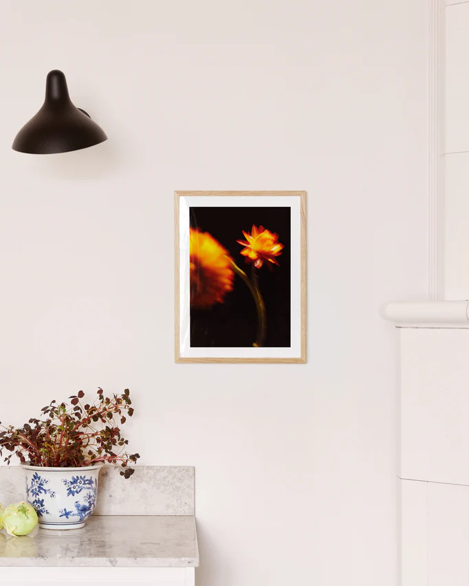 The On Edge Poster, featuring two orange flowers on a black background, hangs on a white wall, exuding intensity. Below it sits a blue and white ceramic pot with green cabbage and red foliage on a marble countertop, illuminated by the glow of a black wall lamp.