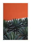 Agave plants with sharp leaves stand before a vibrant, textured orange wall, resembling a Pershing Square Red Poster. The contrast of green and orange mirrors the striking visual effect of Los Angeles art at Pershing Square.