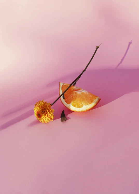 Stillleben mit einer Orange und einer Blume auf einer rosa Fläche.