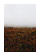 White fog hanging over a deciduous forest with autumn trees.