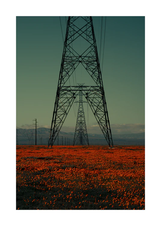 Power line constructions captured from straight ahead standing on a poppy field.