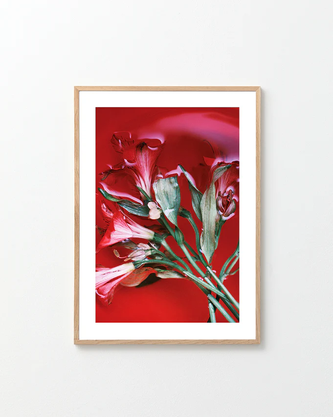 Red lilies with green leaves soaking a pool of red paint.